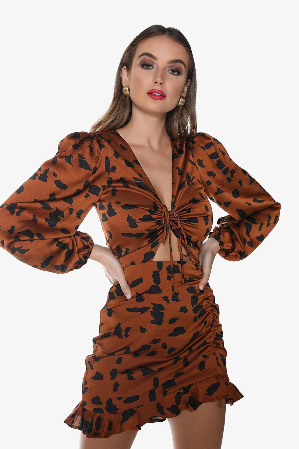 Drawstring Puff Sleeve Leopard Print Dress