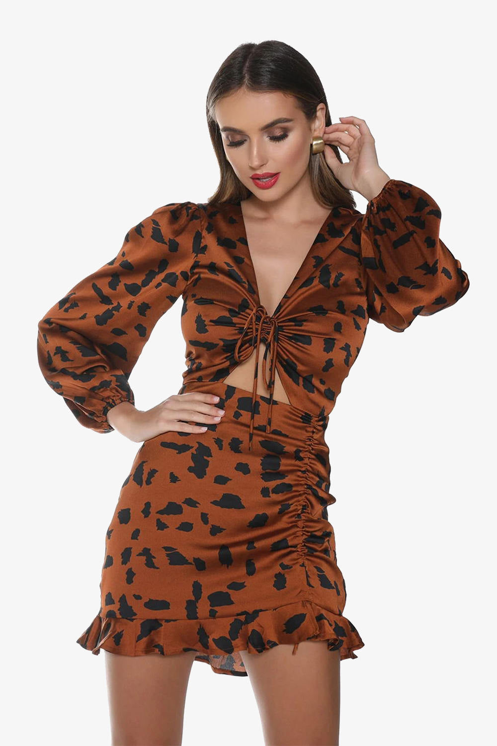 Drawstring Puff Sleeve Leopard Print Dress