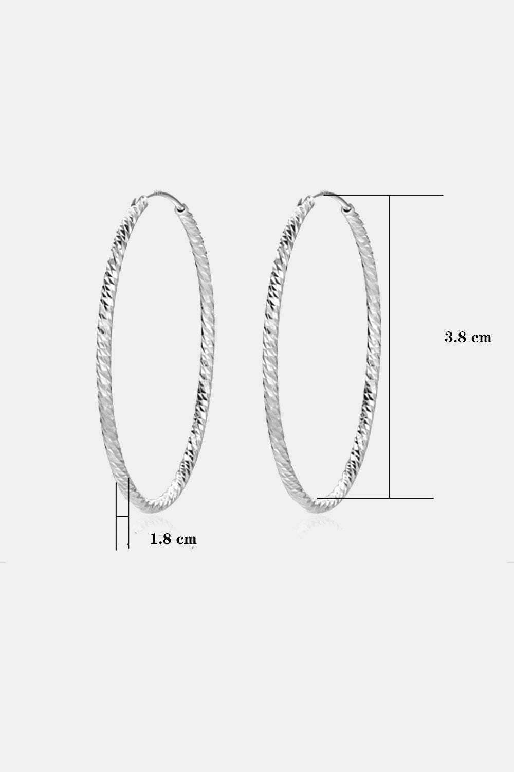 Large Silver Hoop Earrings